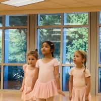 Dance Embodiment ico