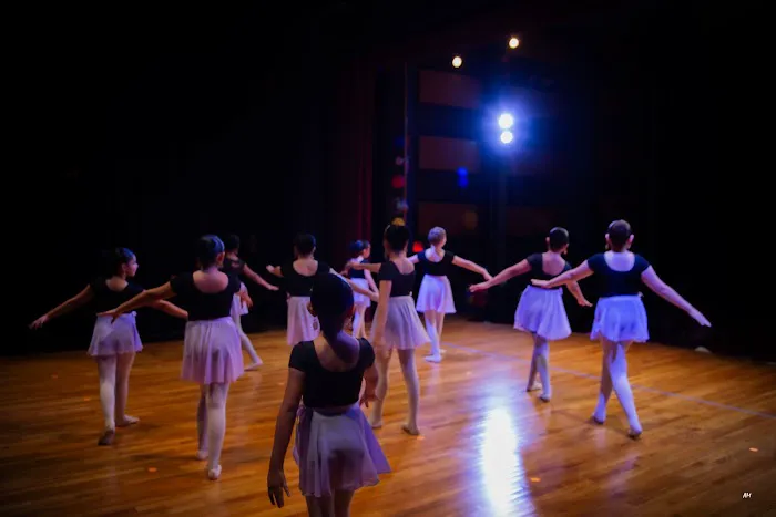 Ballet Folklorico DFW Picture 7