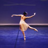 Artistry In Motion Performing Arts Center ico