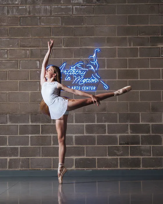 Artistry In Motion Performing Arts Center Picture 3