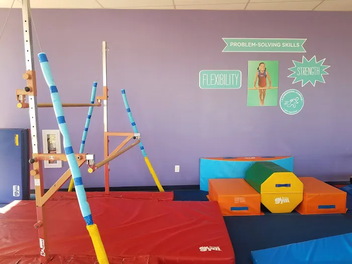 The Little Gym of Keller Picture 3
