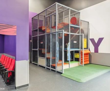 Crunch Fitness - Arlington