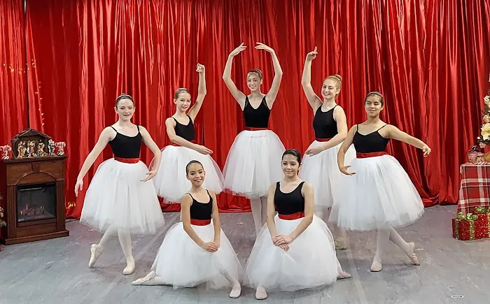 Dance Academy of Mansfield Picture 5