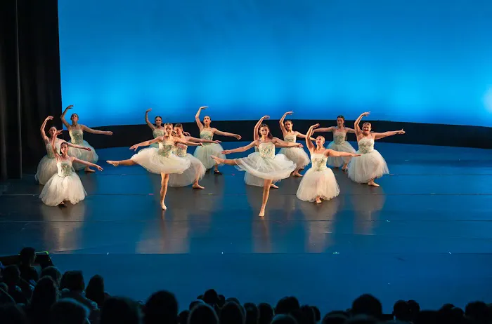 Elite Performing Arts Conservatory Picture 6
