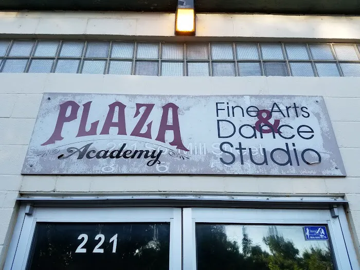 Plaza Academy Fine Arts & Dance Studio Picture 2