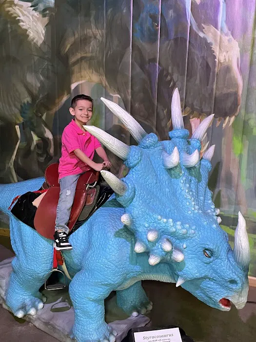 Dinosaur Land Children's Museum Picture 2