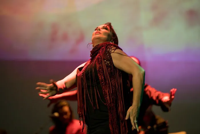 Flamenco Fever Picture 5