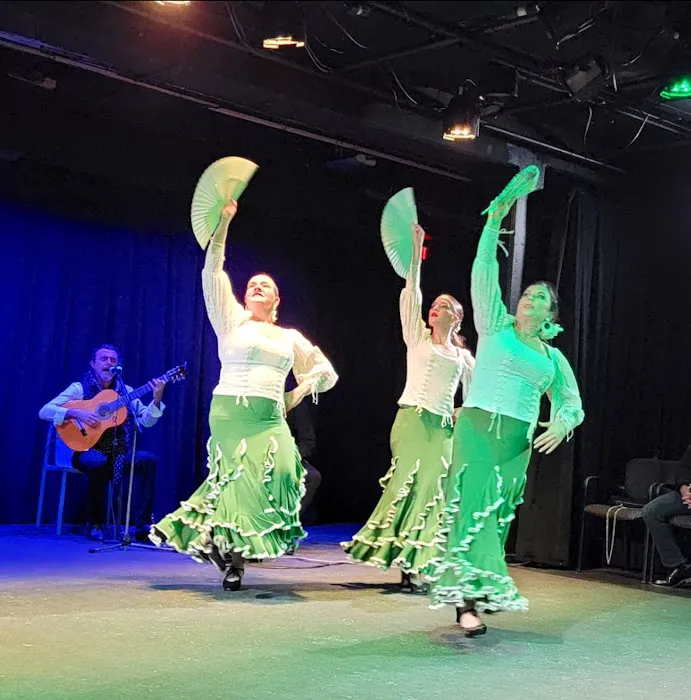 Flamenco Fever Picture 10