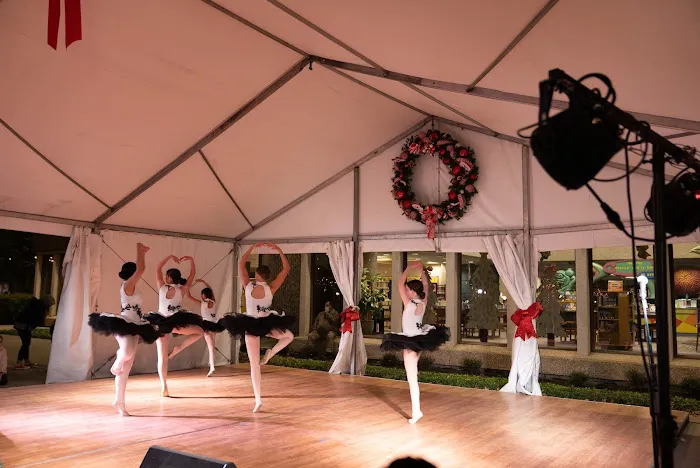 Preston Hollow Dance Picture 3