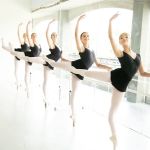 The Dallas Conservatory