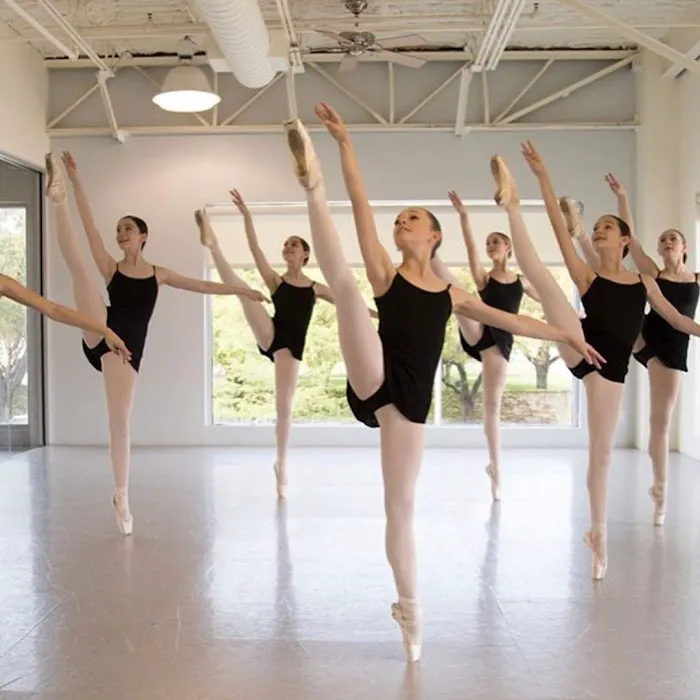 The Dallas Conservatory Picture 7