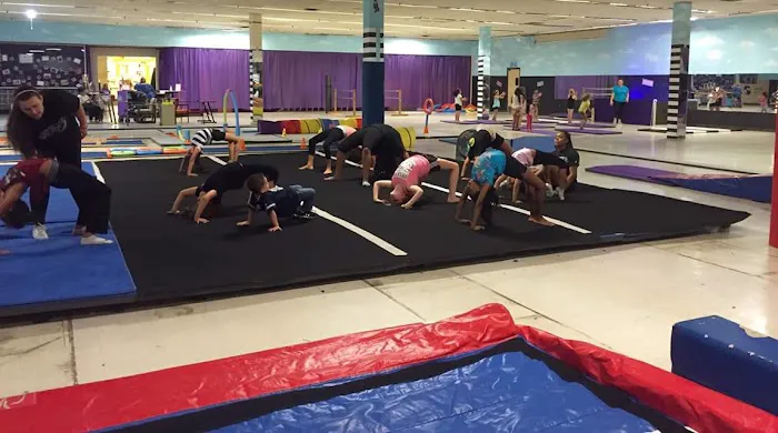 Texas Galaxy Cheer And Dance-Denton Picture 1