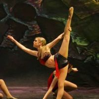 Dance Integrity ico