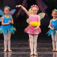 Denton Dance Conservatory ico