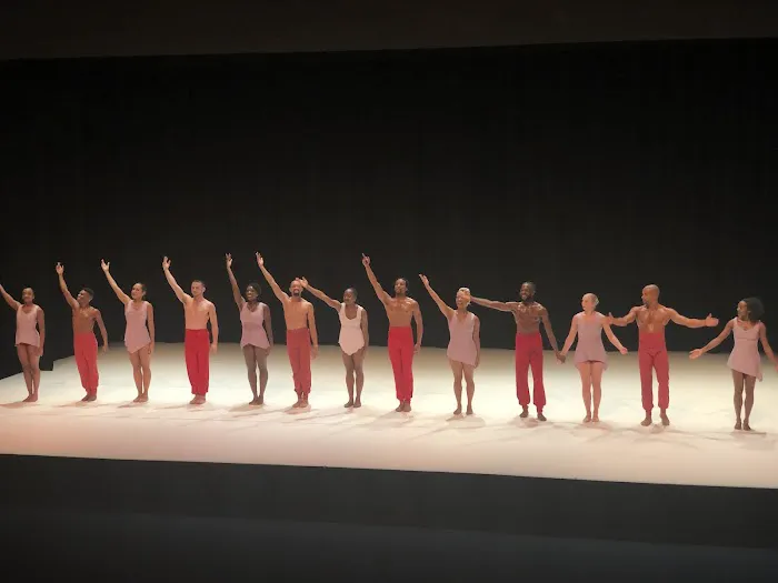 Dallas Black Dance Theatre Picture 6