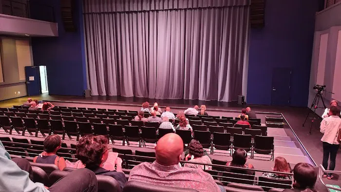 Dallas Black Dance Theatre Picture 1