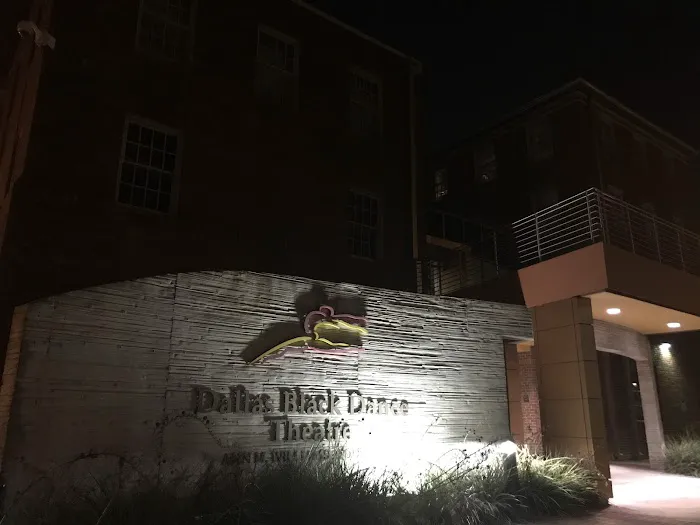 Dallas Black Dance Theatre Picture 9