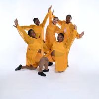 Zeal Dance Force ico