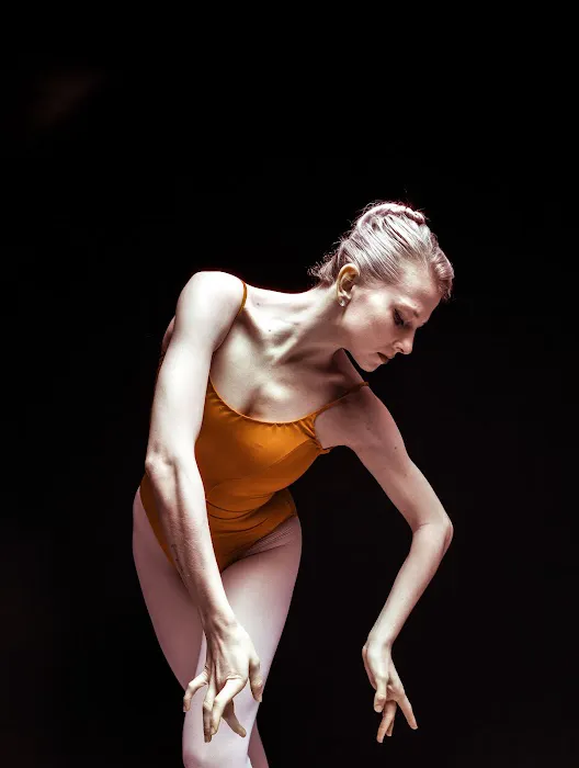 Avant Chamber Ballet Picture 3