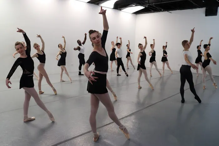 Avant Chamber Ballet Picture 8