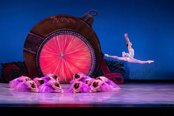Avant Chamber Ballet Picture 4