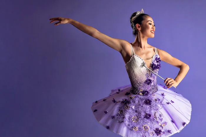 Avant Chamber Ballet Picture 9