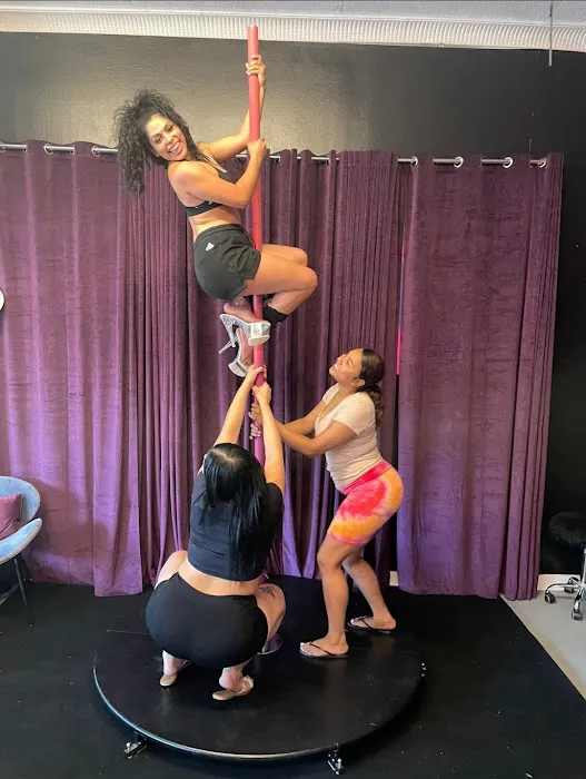 Pole Dance Parties UNLIMITED Picture 3