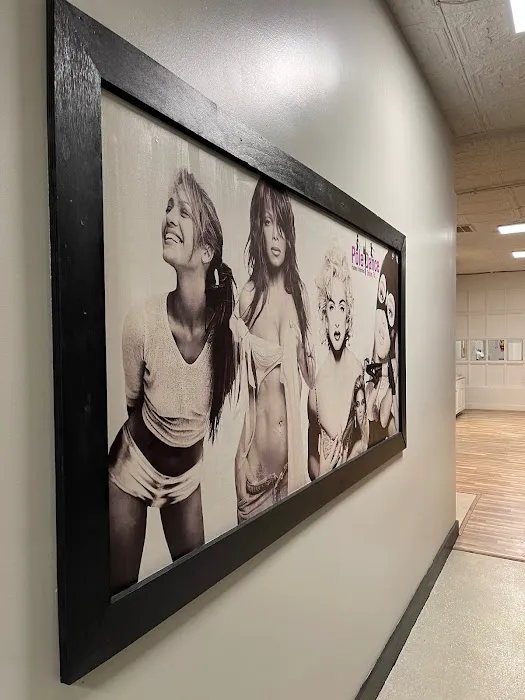 CoSpin Dallas | Pole Dance Studio Rental Picture 3