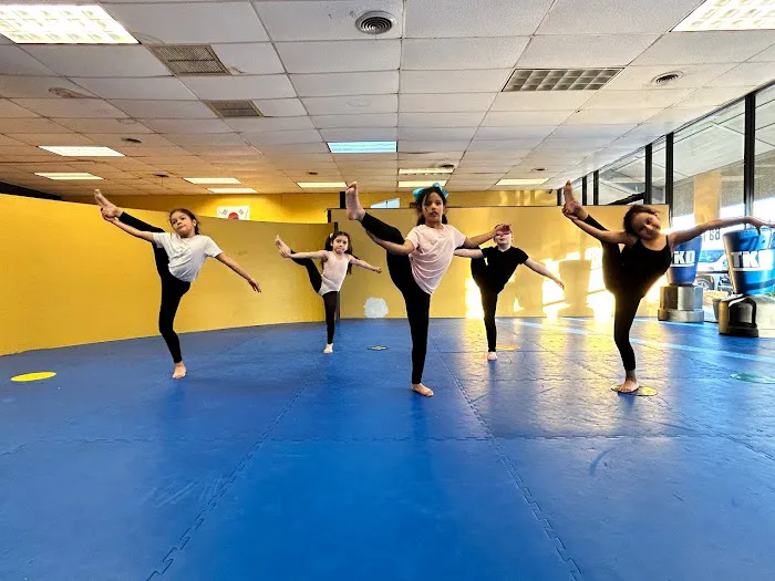 Art & Cultural Academy Picture 1