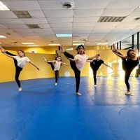 Art & Cultural Academy ico