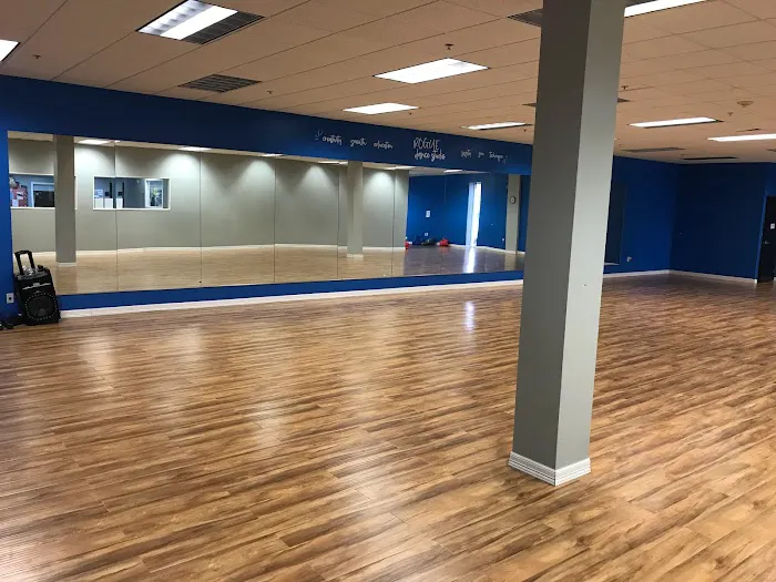 Rogue Dance Studio Picture 3
