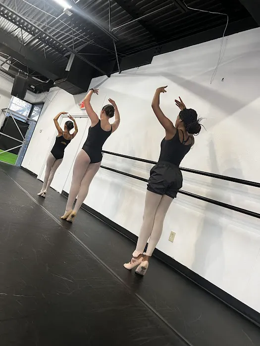iDANZ Performing Arts Studio Picture 1