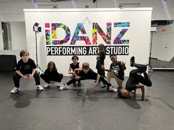 iDANZ Performing Arts Studio Picture 7