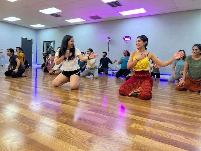 iDANZ Performing Arts Studio Picture 10