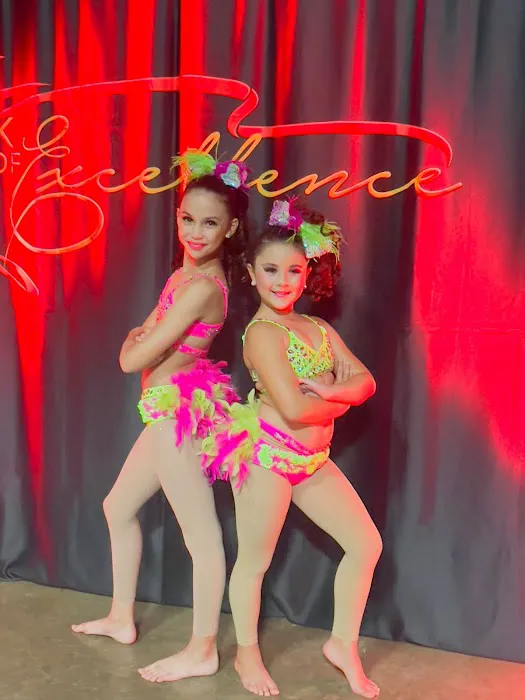 Danzarte Academy Picture 1