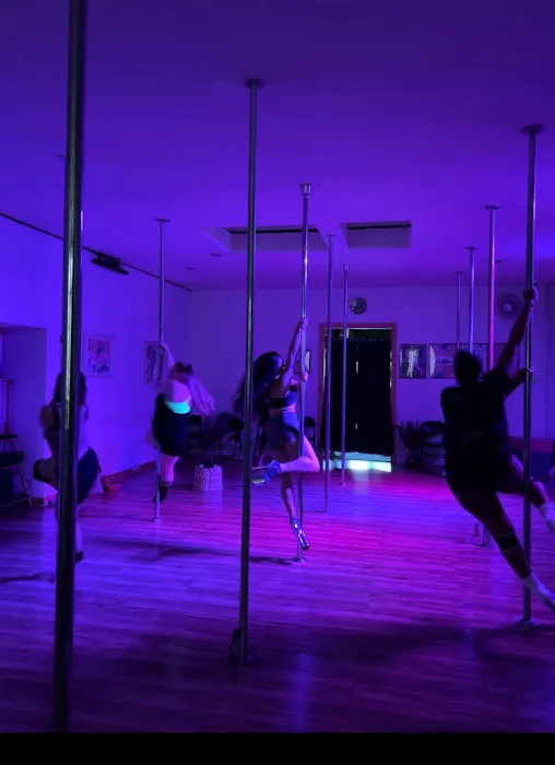 Bee Spins Pole Fitness Picture 1