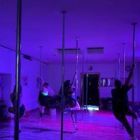 Bee Spins Pole Fitness ico
