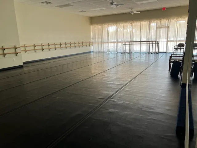 Dance Institute of Dallas Picture 6