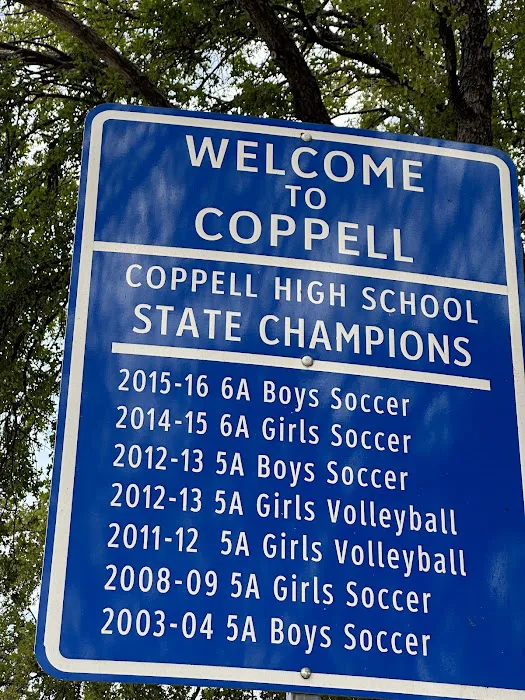 The Little Gym of Coppell Picture 7