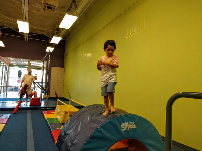 The Little Gym, Mockingbird & Abrams Picture 5