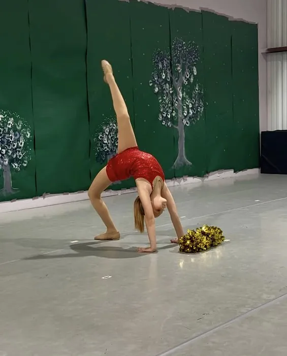 Evolution Academy of Dance Picture 8