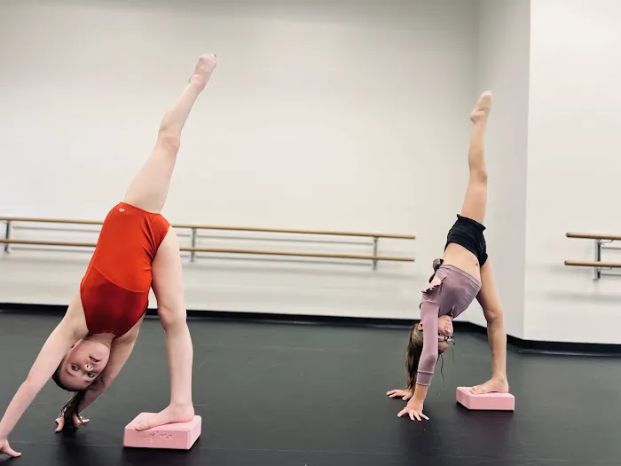 DCJ Dance and Performing Arts Picture 5