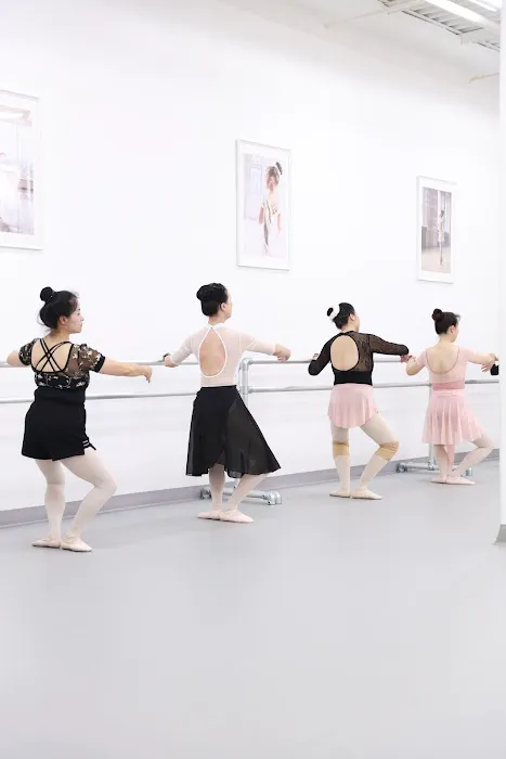 Ballet Ballet Dance Studio Picture 5