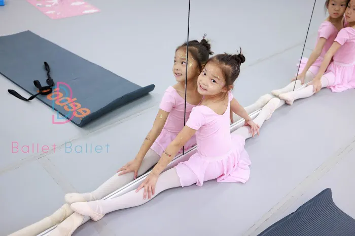 Ballet Ballet Dance Studio Picture 4