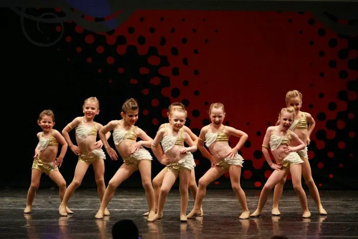 Dance Industry - Performing Arts Center Picture 7