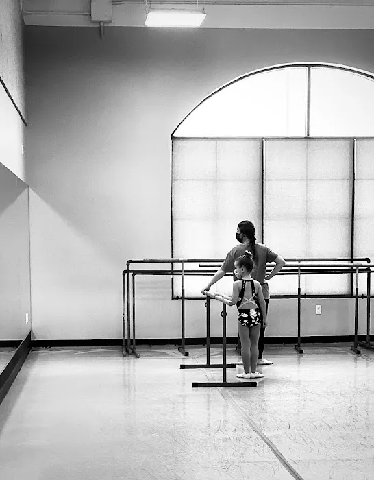 Dance Industry - Performing Arts Center Picture 8