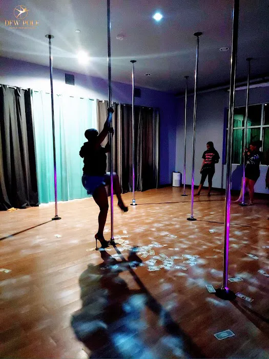 Pole Parties & More with Toy Picture 3