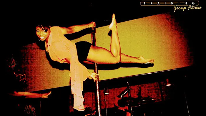 Pole Parties & More with Toy Picture 4