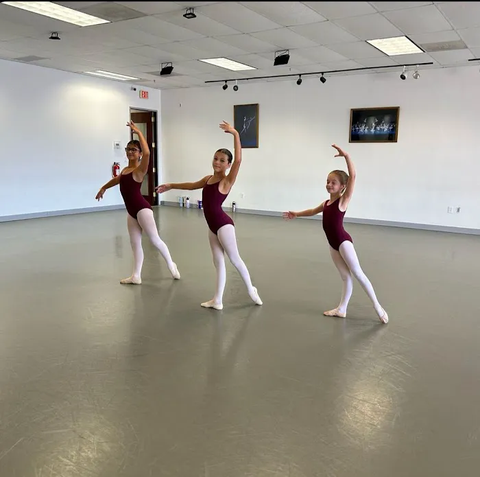 Royale Ballet Dance Academy Picture 7