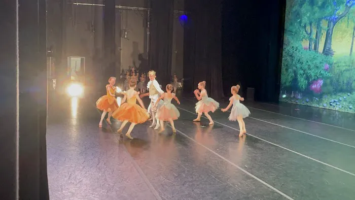 Royale Ballet Dance Academy Picture 3